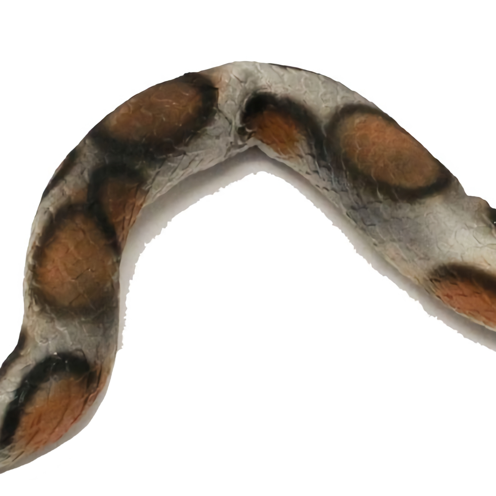 GIANT TOY SNAKE 6FT RUBBER AUSTRALIA JUNGLE PYTHON ADDER HALLOWEEN JOKE